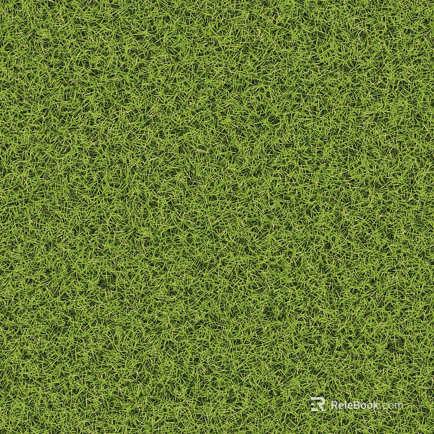 Outdoor grass turf ground texture