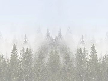 Mist Pine Forest Exterior Decoration texture (ID:ffaeh237846)