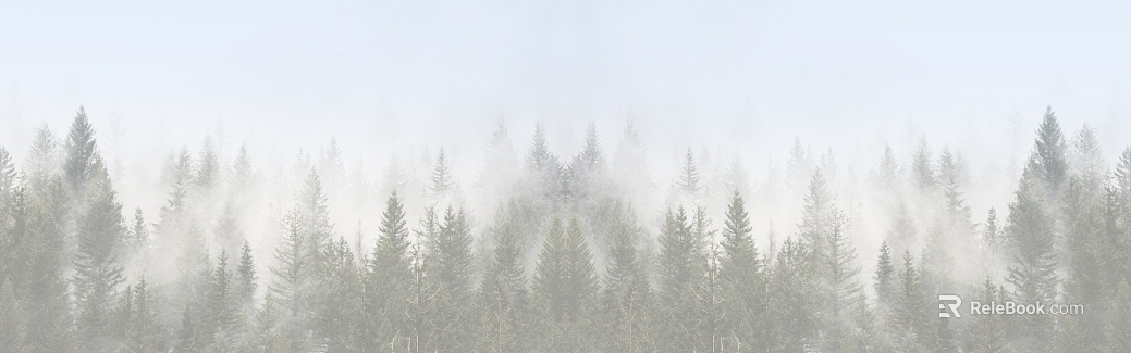 Mist Pine Forest Exterior Decoration texture