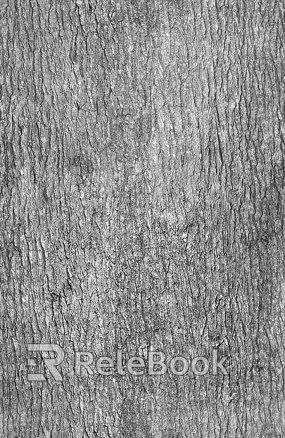 bark texture