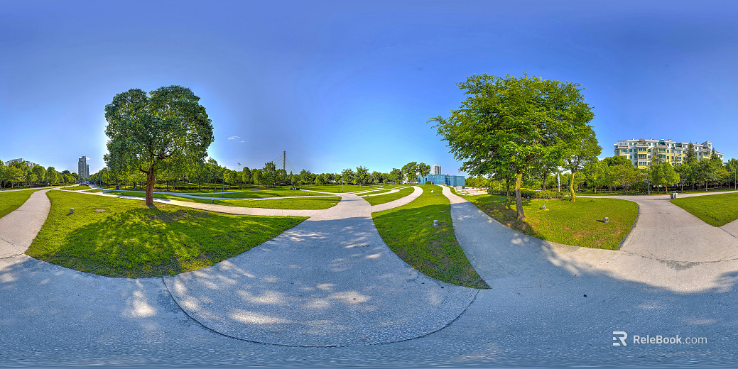 Park Lawn Trait Daytime Sunny Day HDR texture