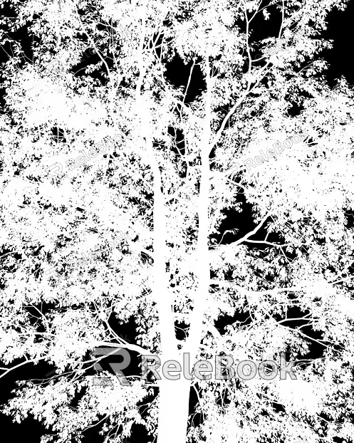 black and white tree shadow texture