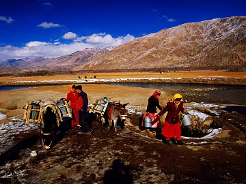 Wild Scenery texture (ID:ffabg37093)