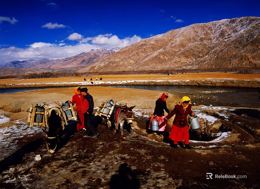 Wild Scenery texture