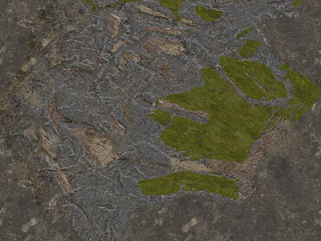 gray brown rock moss outdoor ground 3d model