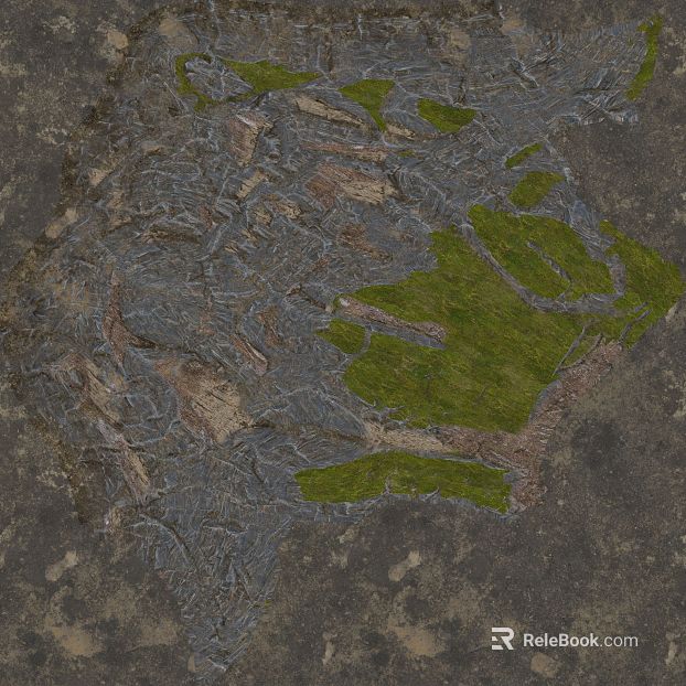 gray brown rock moss outdoor ground texture