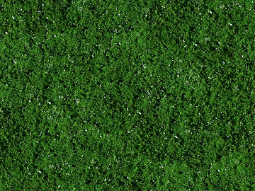 Turf texture (ID:ffach524440)