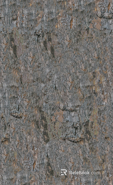 bark texture