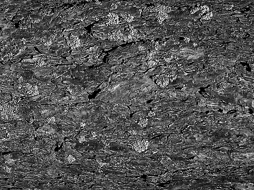 Black and White Bump texture (ID:ffabg92419)