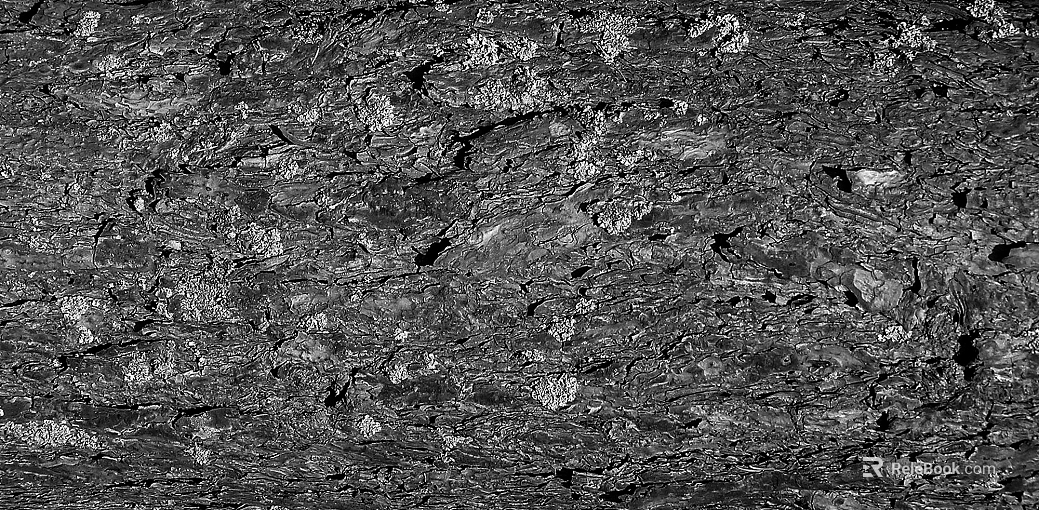 Black and White Bump texture