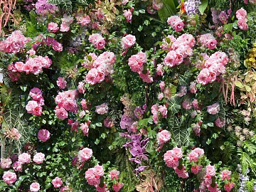 Pink simulation flower plant wall texture (ID:ffaeh991089)