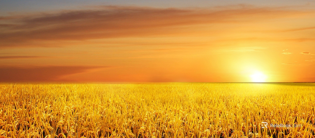 Wild Scenery texture