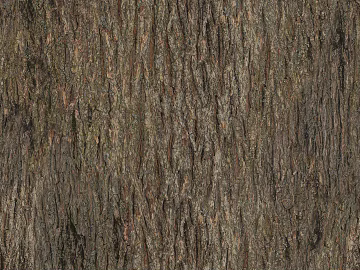 bark texture (ID:ffhfe434)