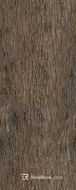 bark texture