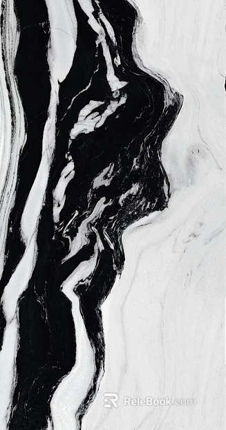 Modern Black and White Marble Rock Slab texture