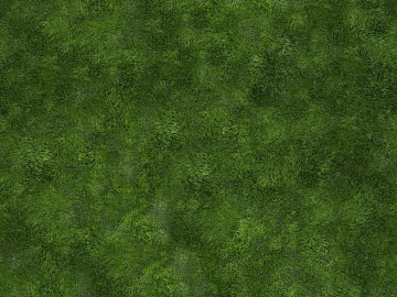 Real Texture Grass Slope Green Space Texture texture (ID:ffaeh928682)