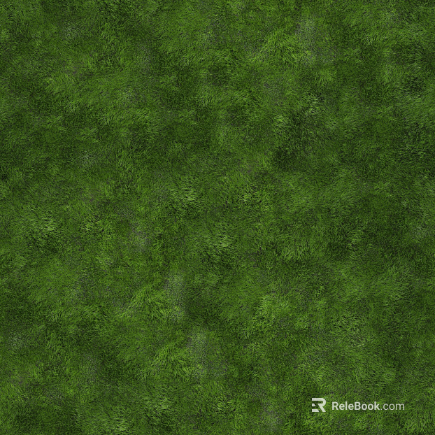 Real Texture Grass Slope Green Space Texture texture