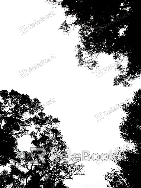 black and white tree shadow texture