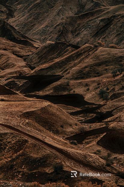 Wild Scenery texture