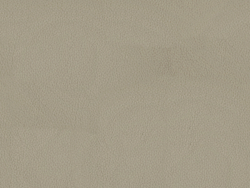 fine grain leather texture (ID:ffagg63047)