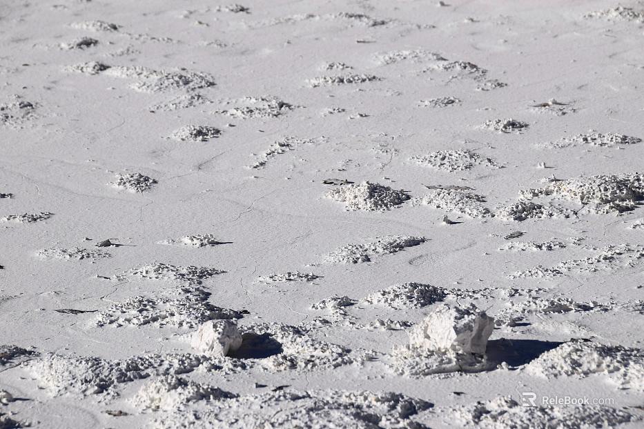 Snow texture