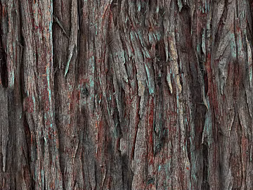 bark texture (ID:ffaag91880)