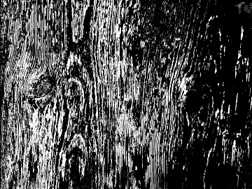 Wood grain black and white bump texture (ID:ffach164034)