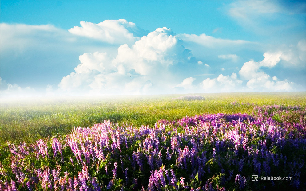 Wild Scenery texture
