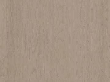 Light beige wood grain interior wall 3d model