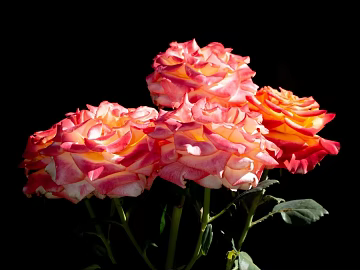 Flowers texture (ID:ffabg35700)