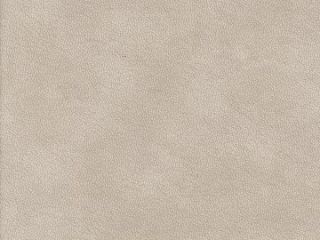 fine grain leather 3d model