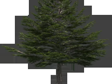 Tree texture (ID:ffabg23022)