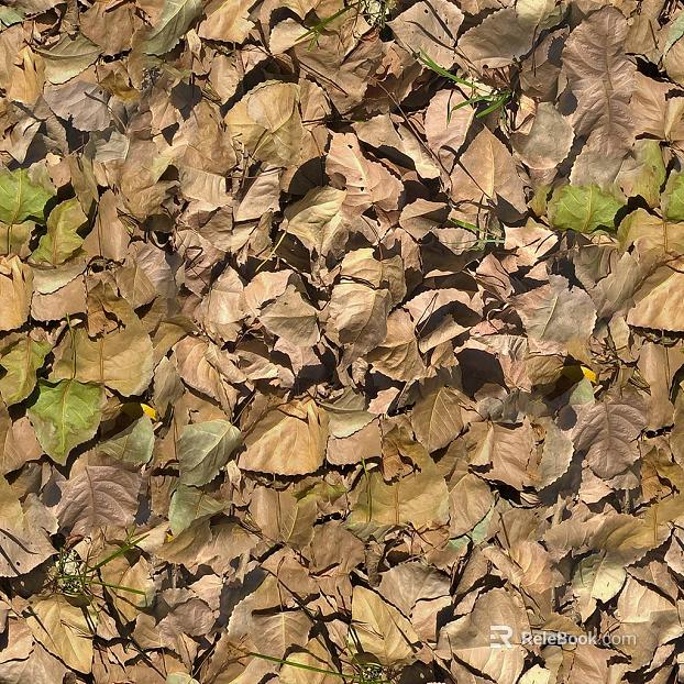 leaves texture