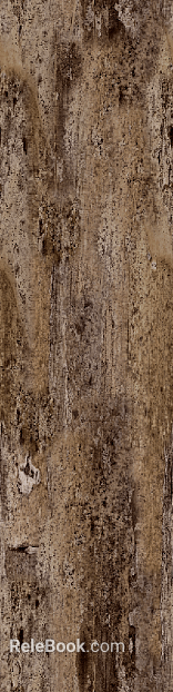 old wood old wood grain gray texture