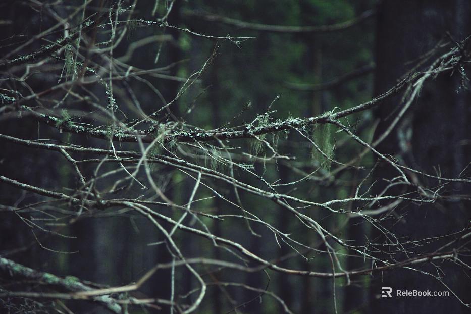 Branch texture