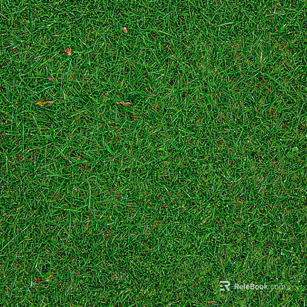 Grassland texture