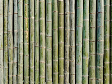 bamboo pole texture (ID:ffach217691)