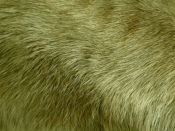 animal fur texture (ID:ffabg04263)