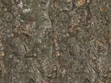 Dark Grey Bark Natural Decoration Map texture (ID:ffaeh425336)