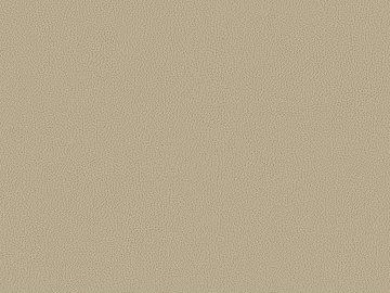 fine grain leather texture (ID:ffagg87503)