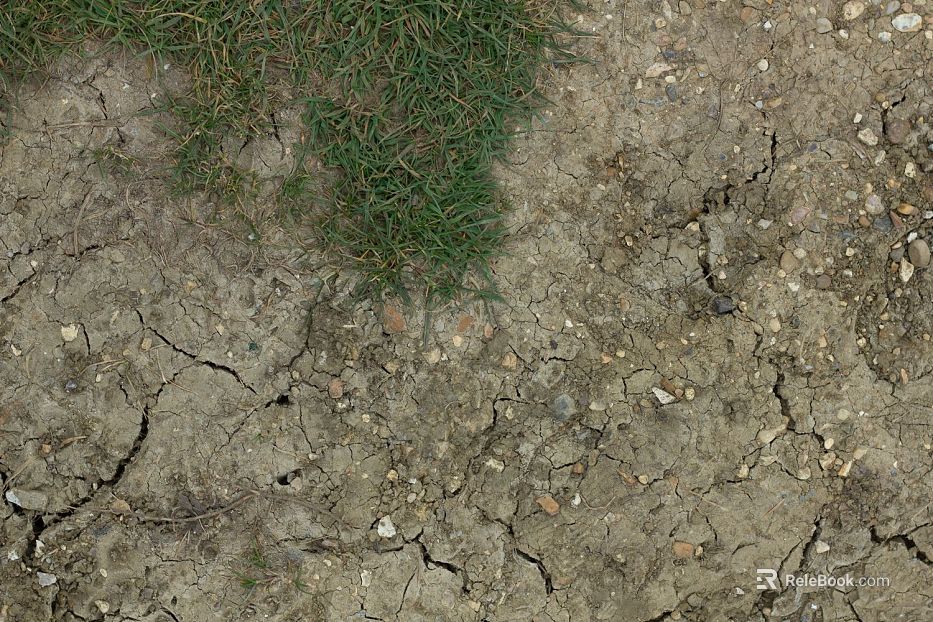 Mud ground texture