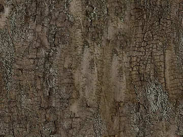 bark texture (ID:ffaff3878)