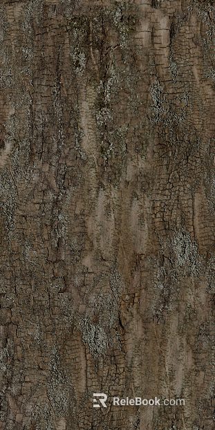 bark texture