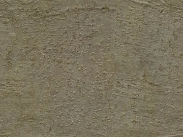 bark texture (ID:ffaag39358)