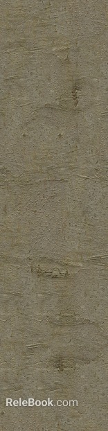 bark texture