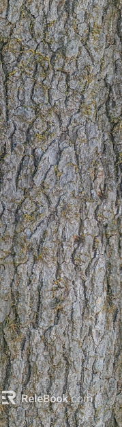 bark texture