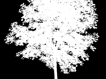 black and white tree shadow texture (ID:ffaag06249)