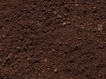 Sand texture (ID:ffaeg29350)