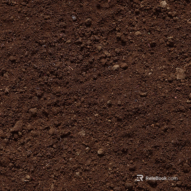 Sand texture