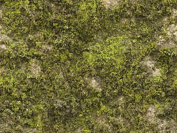 moss texture (ID:ffhee850)